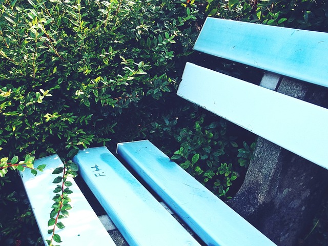 步行者逆流 步行者逆流