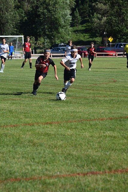 了暴力犯规 了暴力犯规