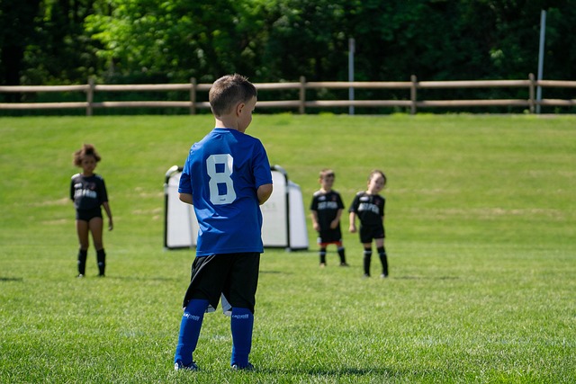 案例分析 案例分析