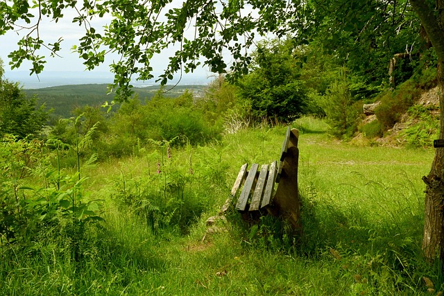 九游娱乐(JIUYOU)官网-在线体育游戏娱乐平台