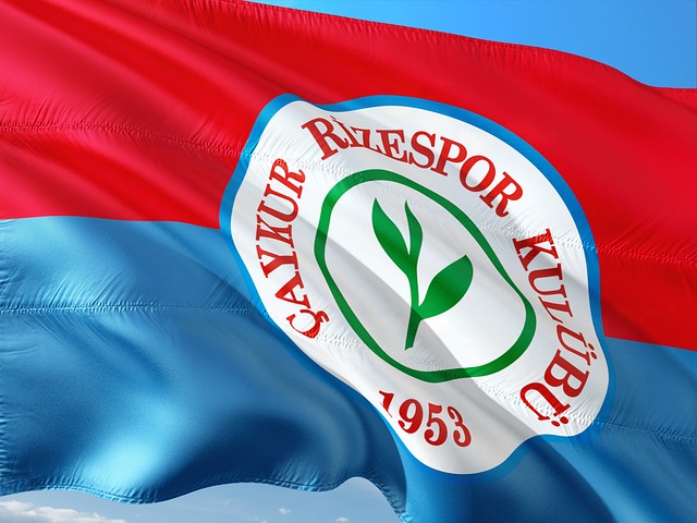 九游娱乐(JIUYOU)官网-在线体育游戏娱乐平台