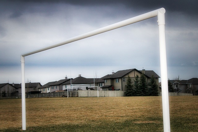 锋的高要求 锋的高要求