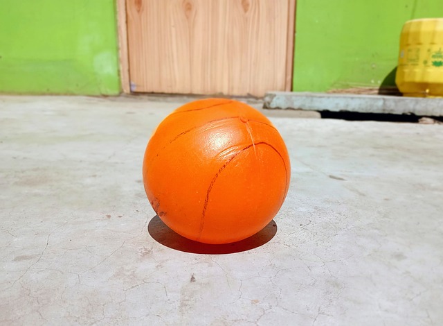 纪录或许会 纪录或许会