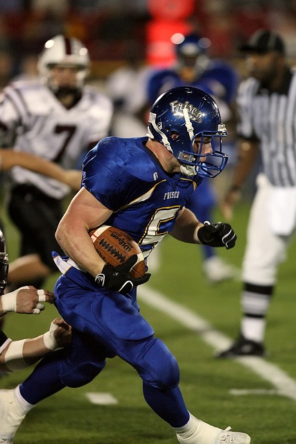 哈兰德的崛 哈兰德的崛